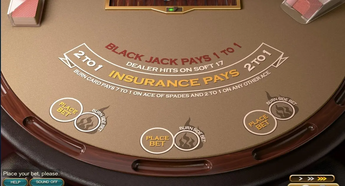 21 Burn Blackjack — screenshot