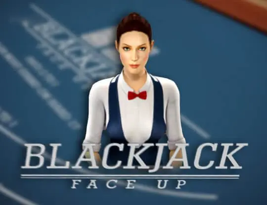 BlackJack 21 FaceUp 3D Dealer — free demo screenshot