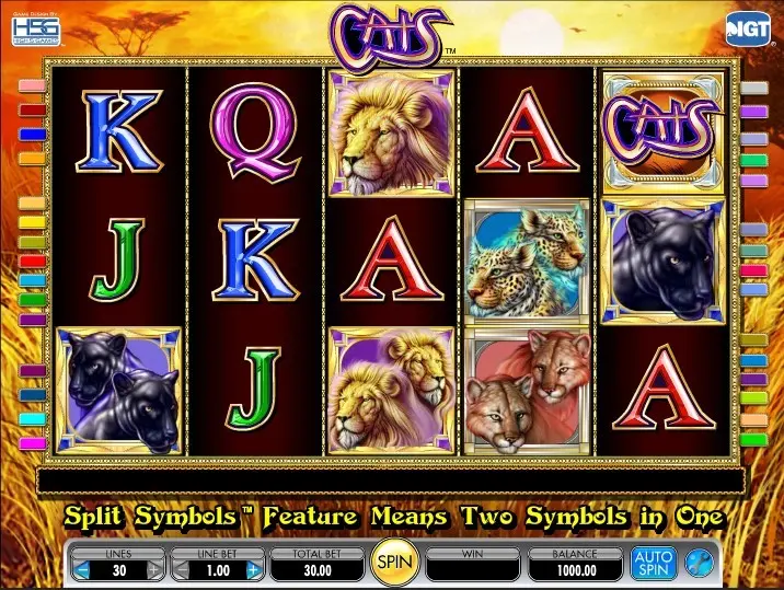 Cats Slot — screenshot