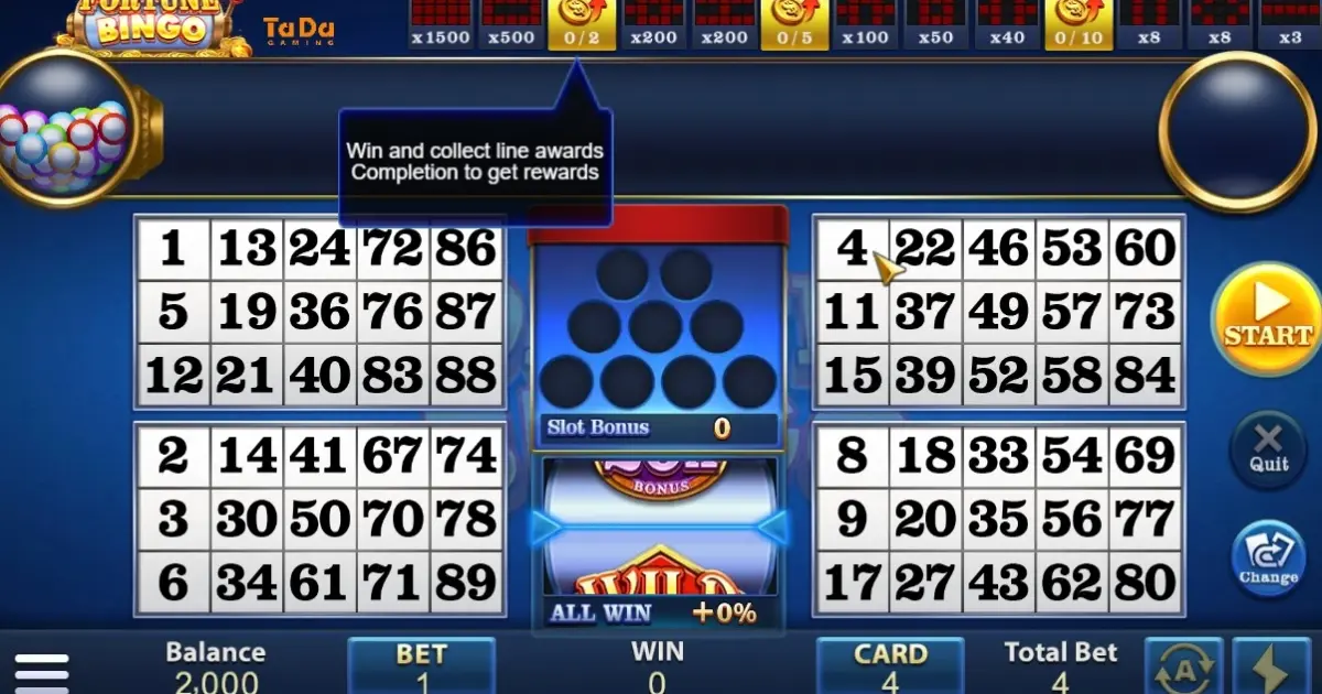 Fortune Bingo — screenshot