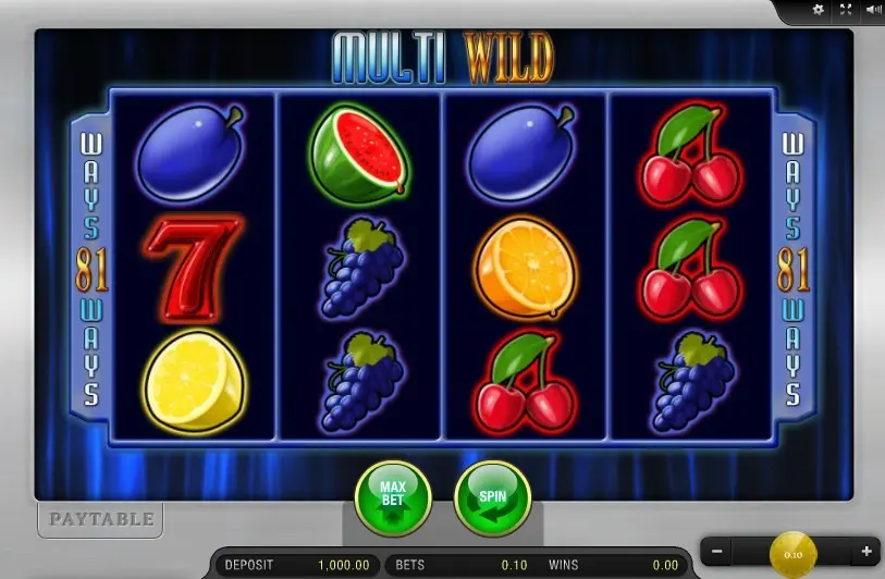 Multi Wild Slot — screenshot