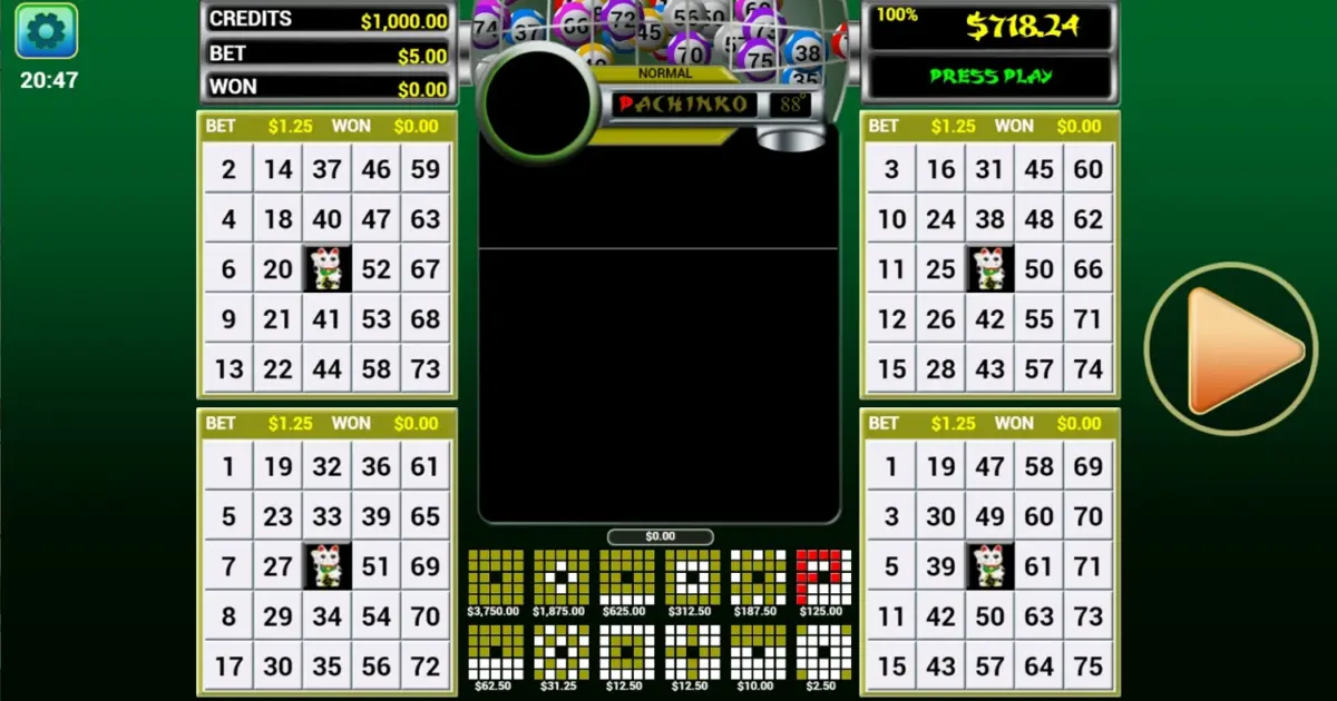 Pachinko 3 Bingo — screenshot