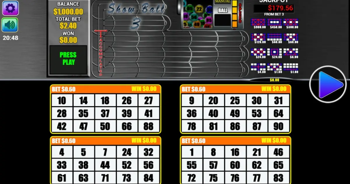 Show Ball 3 Bingo — screenshot